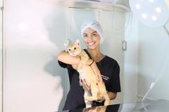CastraMóvel acelera cuidados com pets em Mata de São João 