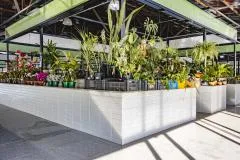 Mercado Municipal de Mata de São João realiza ação especial da Primavera