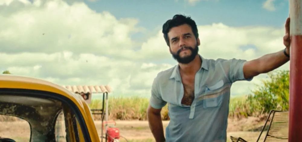Cinema brasileiro ganha destaque com múltiplas indicações