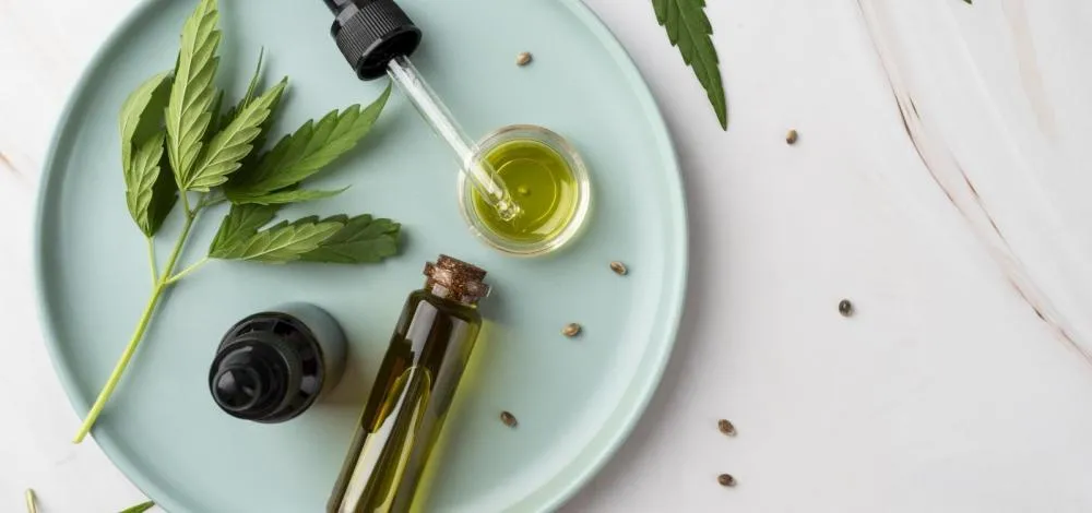 Anvisa amplia regras para Cannabis medicinal no Brasil