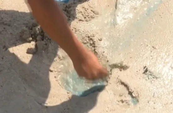 Contaminação química expõe fragilidade ambiental