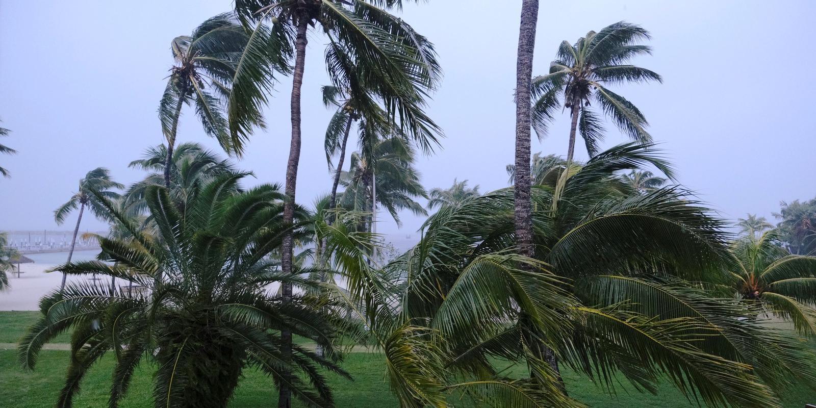 Furacão Dorian sobe para categoria 5 e Bahamas entra em alerta; ventos chegam a 257 km/h