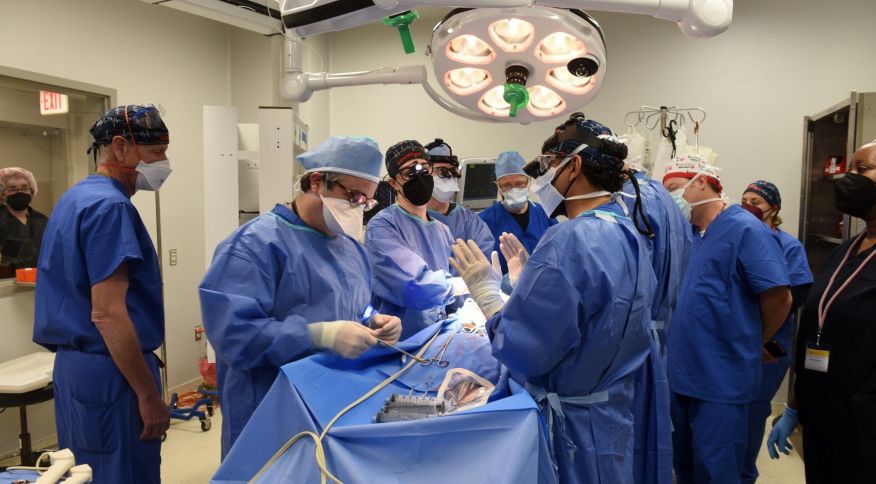 Cirurgiões americanos realizam com sucesso transplante de coração de porco em homem