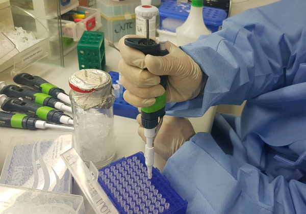 OMS diz que três vacinas para conter pandemia já estão em testes clínicos