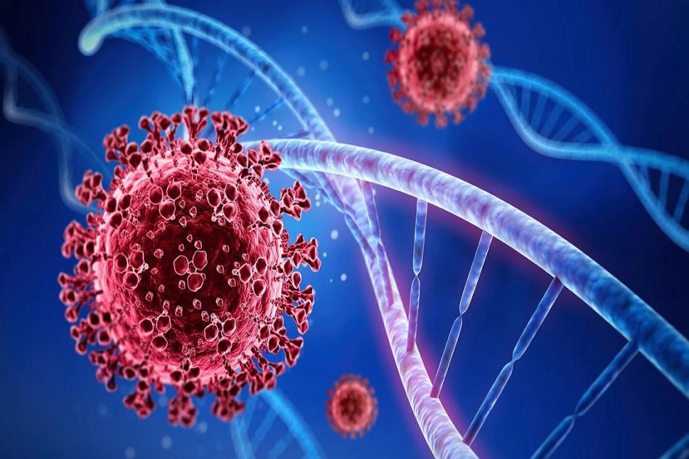 Cientistas identificam medicamento que pode freiar ação da Covid-19 no organismo