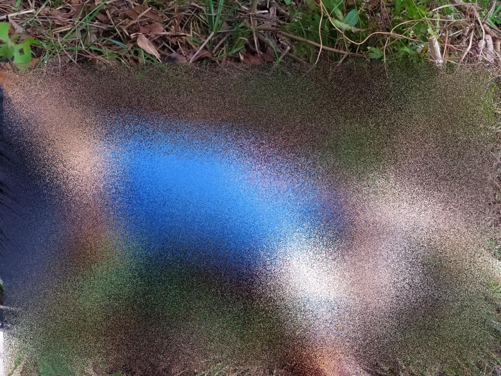 Corpo encontrado em Amado Bahia