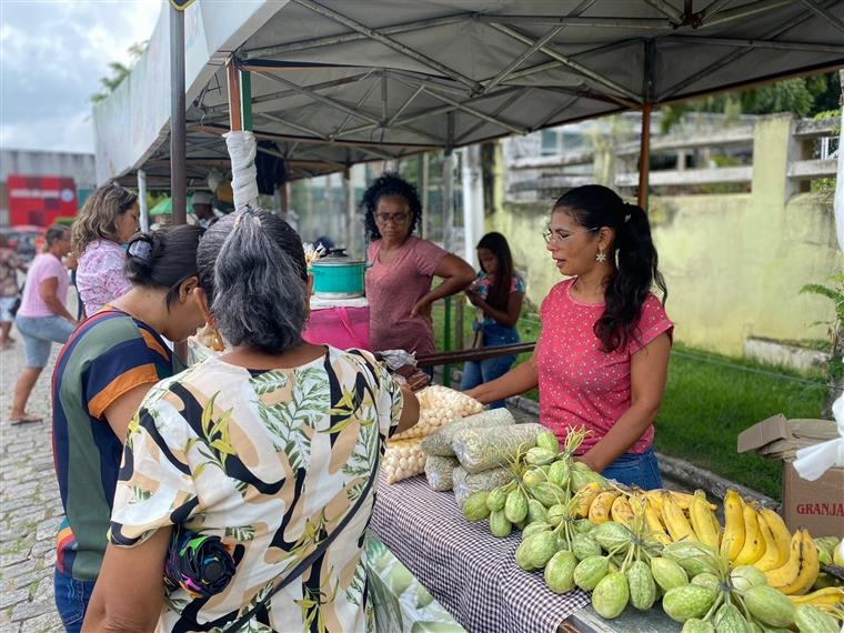 Projeto Semear & Colher: Parque da Cidade recebe Feira Agroecológica nesta quarta