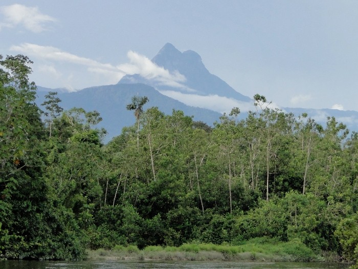 Entidades yanomami denunciam entrada de garimpeiros no Pico da Neblina