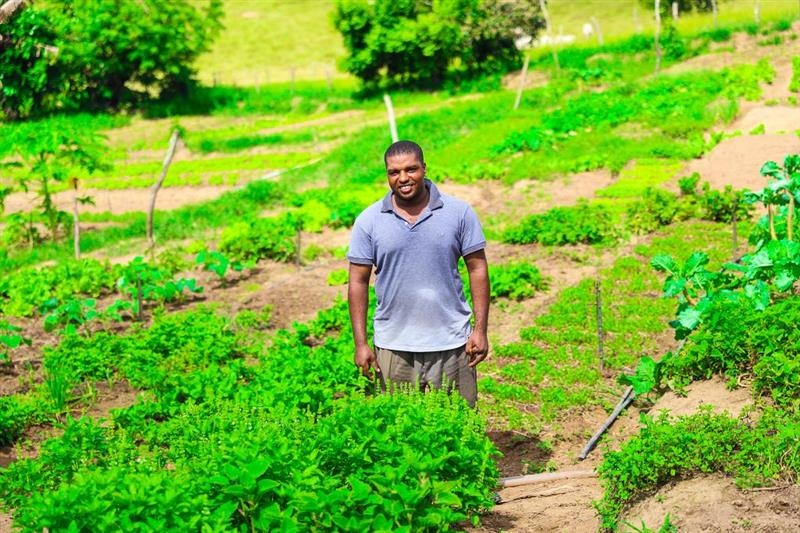 Inspeção visa certificação orgânica de agricultores