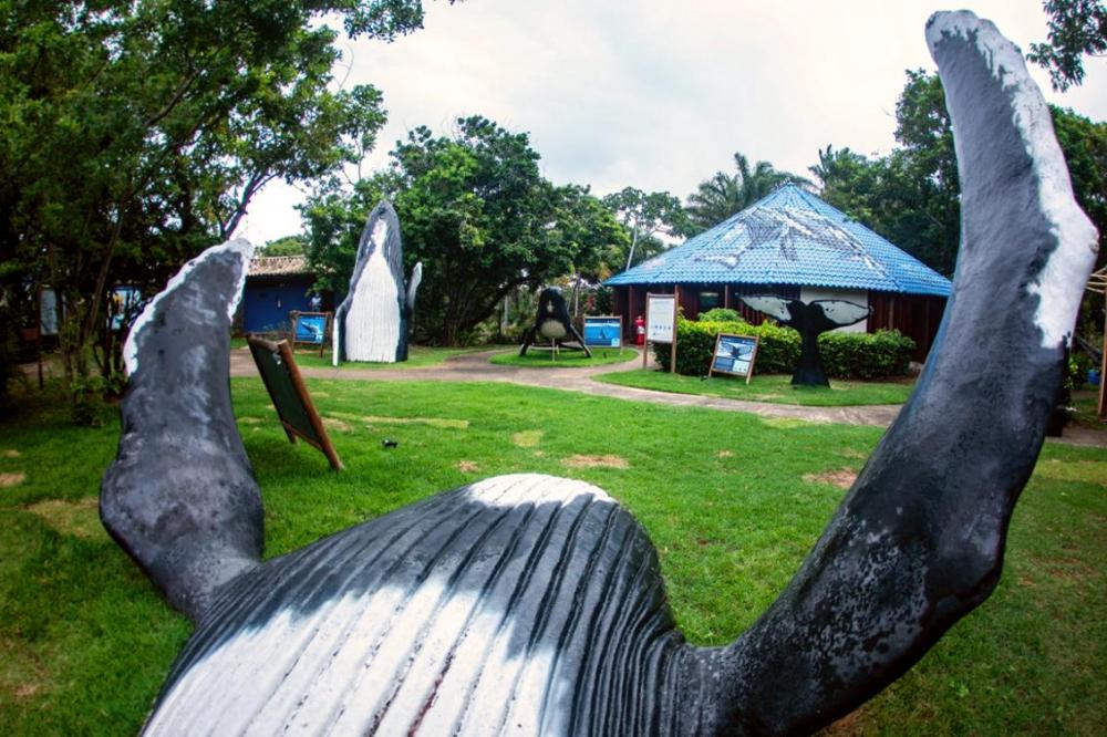 Festa Literária Internacional da Praia do Forte chega à sua 4ª edição com novidades