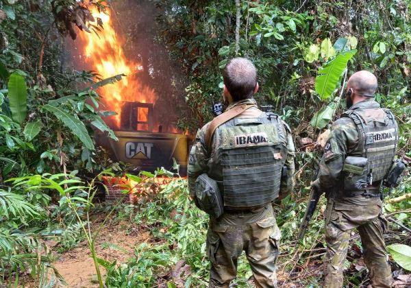 Alertas de garimpo caíram 96% em Terra Indígena Yanomami