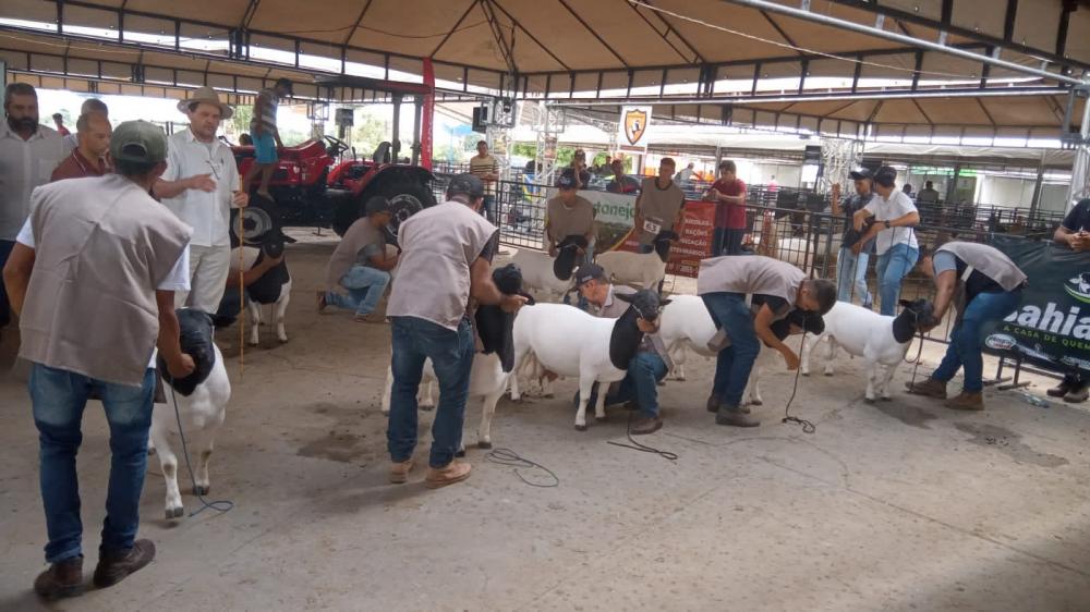 Setur-BA incentiva feiras agropecuárias para impulsionar turismo rural 