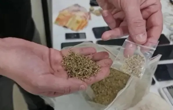 Sesab alerta para riscos de nova droga sintética com base em canabinoide apreendida na Bahia