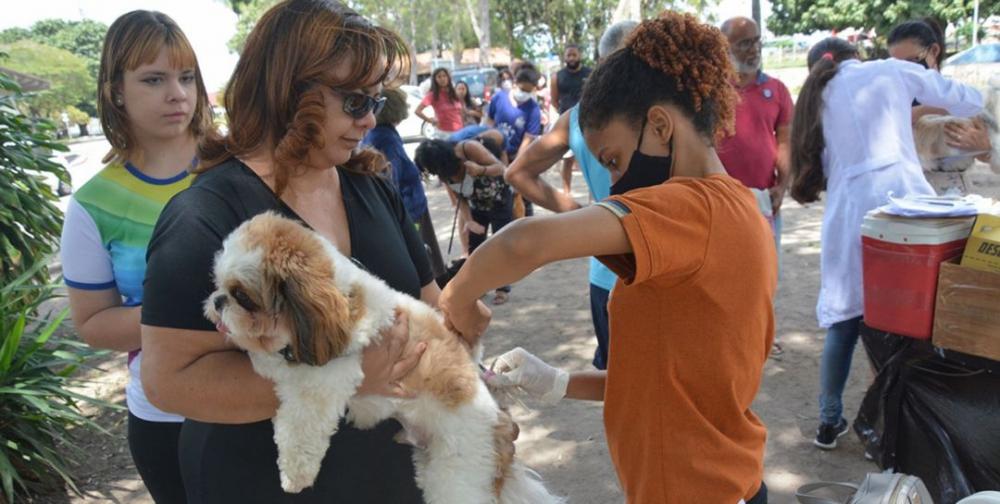 Vacinação contra raiva em cães e gatos em 15 bairros neste sábado, 12