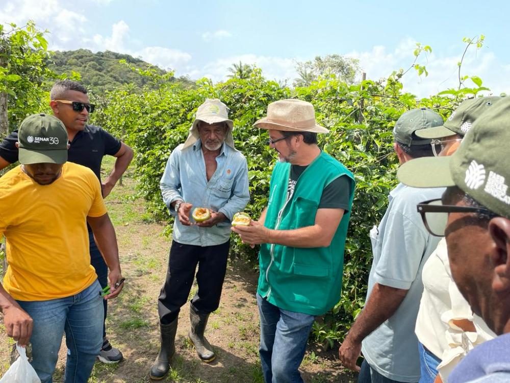 Capacitação para produtores rurais em Mata de São João ajuda a melhorar a produção de Maracujá