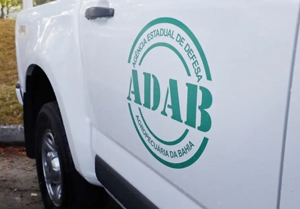 Inscrições para concurso da Adab iniciam nesta segunda-feira (19)