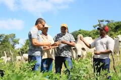 Agricultores de Mata de São João recebem visita técnica