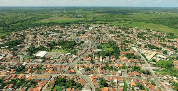 Mata de São João se destaca na produção animal na Bahia, segundo pesquisa do IBGE