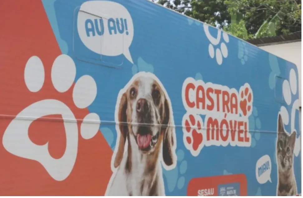 Castração de cães e gatos: saúde pública e bem-estar animal em foco